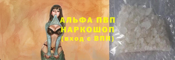 прущий лед Алзамай