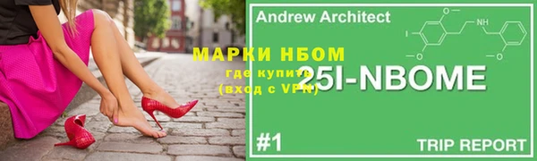 прущий лед Алзамай