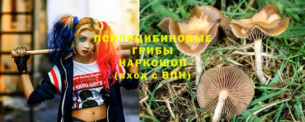 дживик Алексин