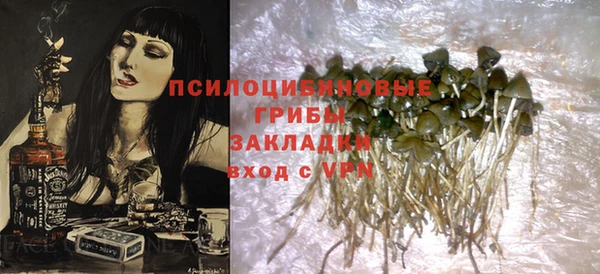 дживик Алексин