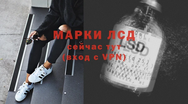 прущий лед Алзамай